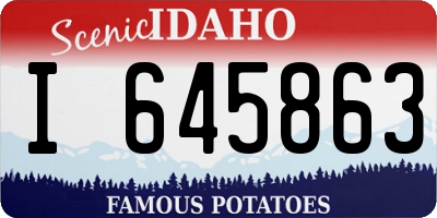 ID license plate I645863