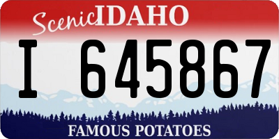 ID license plate I645867