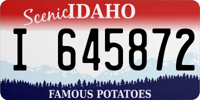 ID license plate I645872
