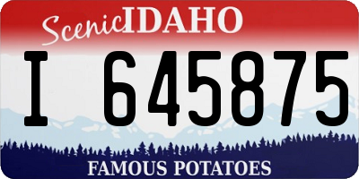 ID license plate I645875