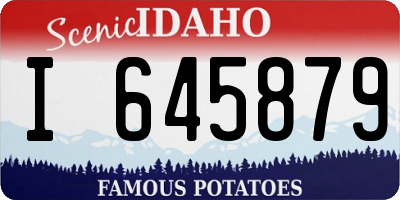 ID license plate I645879