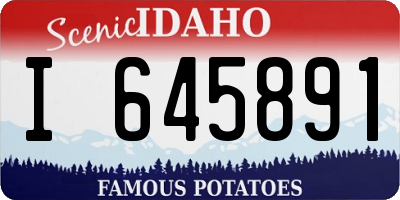 ID license plate I645891
