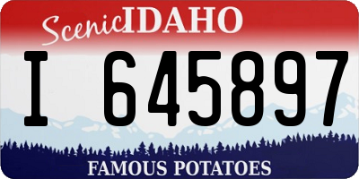 ID license plate I645897
