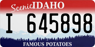 ID license plate I645898