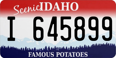 ID license plate I645899