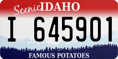 ID license plate I645901