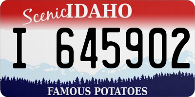 ID license plate I645902