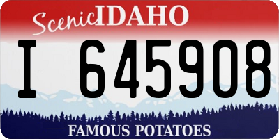 ID license plate I645908