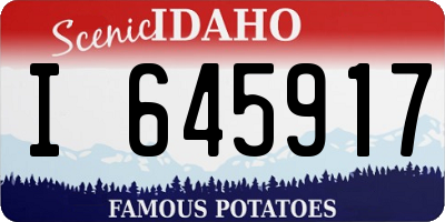 ID license plate I645917