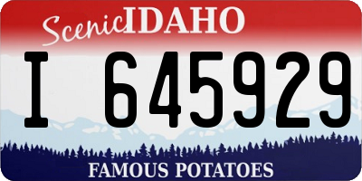 ID license plate I645929
