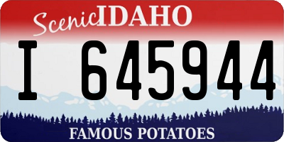 ID license plate I645944