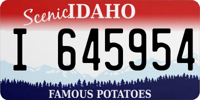 ID license plate I645954