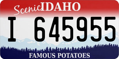 ID license plate I645955