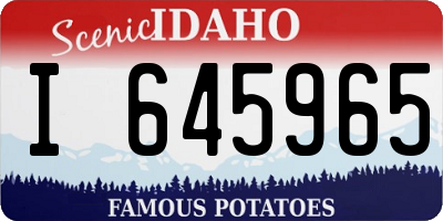 ID license plate I645965