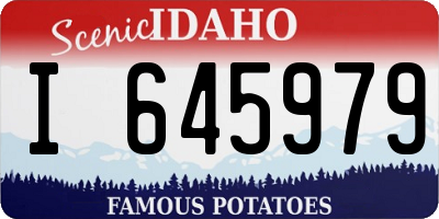 ID license plate I645979