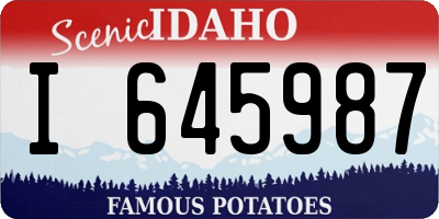 ID license plate I645987