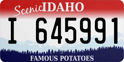 ID license plate I645991