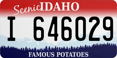 ID license plate I646029
