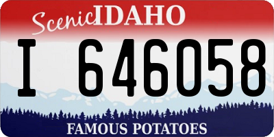 ID license plate I646058