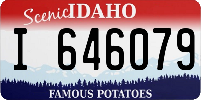 ID license plate I646079
