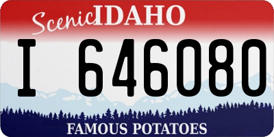 ID license plate I646080