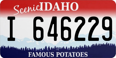 ID license plate I646229
