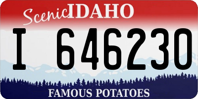 ID license plate I646230