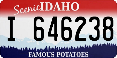 ID license plate I646238