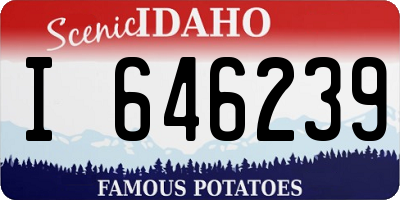 ID license plate I646239