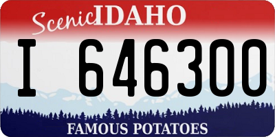 ID license plate I646300