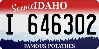 ID license plate I646302