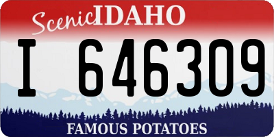 ID license plate I646309