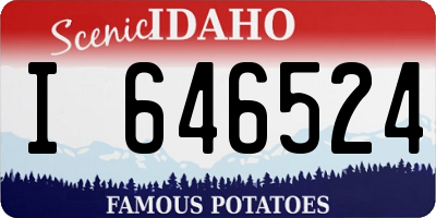 ID license plate I646524