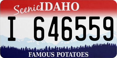 ID license plate I646559