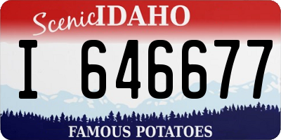 ID license plate I646677