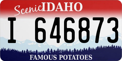 ID license plate I646873