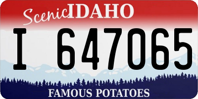 ID license plate I647065