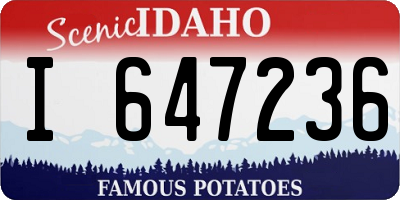 ID license plate I647236