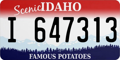ID license plate I647313