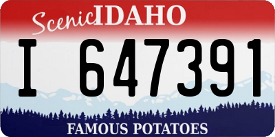 ID license plate I647391