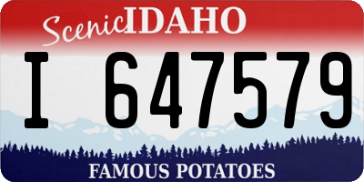 ID license plate I647579