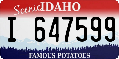 ID license plate I647599