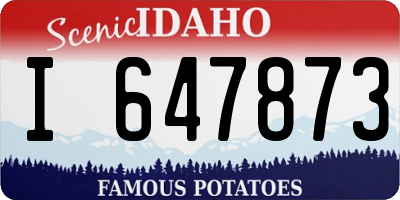 ID license plate I647873