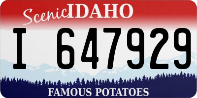 ID license plate I647929