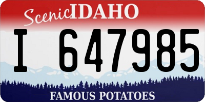 ID license plate I647985