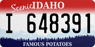 ID license plate I648391