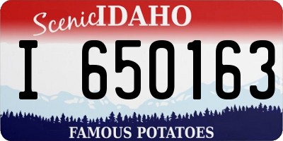 ID license plate I650163