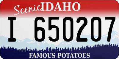 ID license plate I650207
