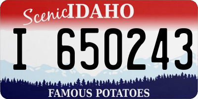 ID license plate I650243