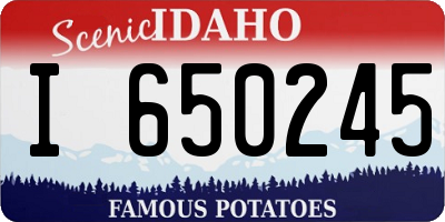 ID license plate I650245